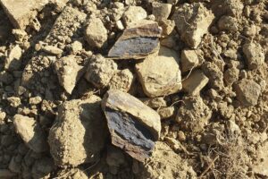 Josko Gravner Terreno nuovo inpianto